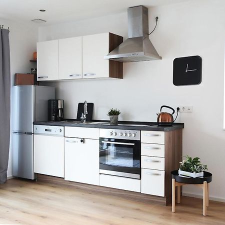 Appartement Burgblick ハールブルク エクステリア 写真